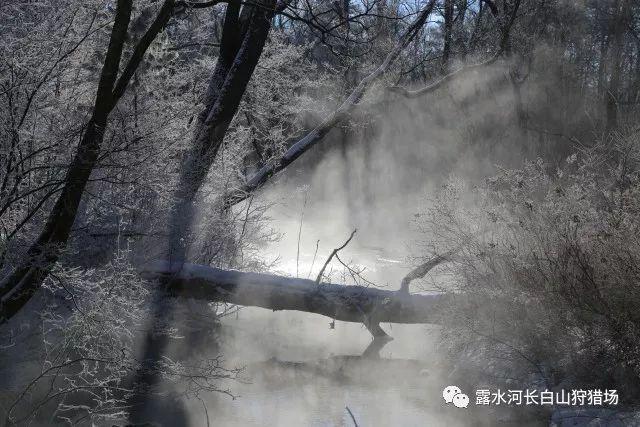 超级冰火人冒险2