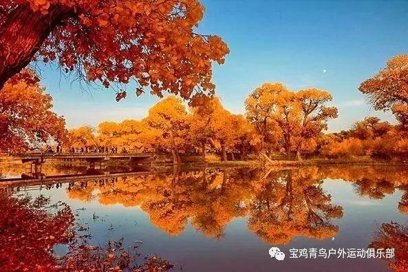 无可救药