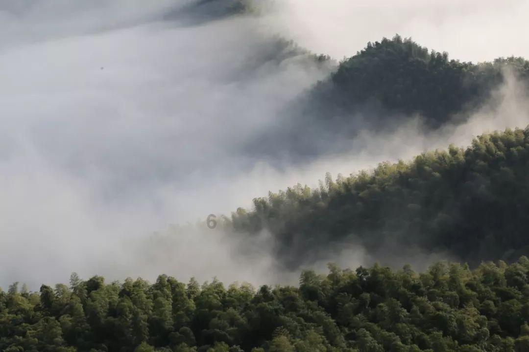 探索外卖汉堡放冰箱能保存多久?社区-发现网络世界的精彩