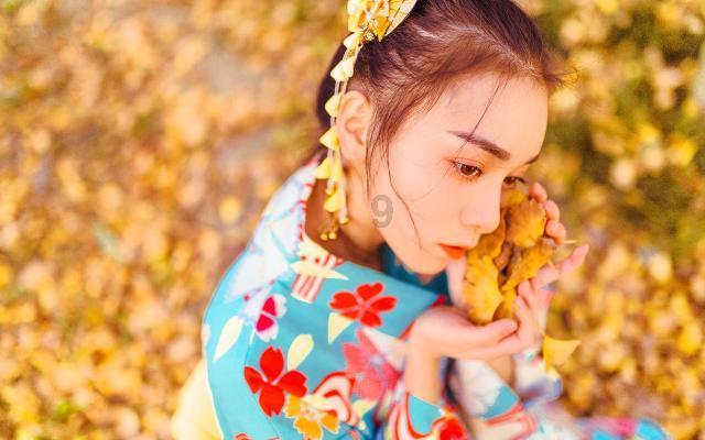 Iphone手机装扮