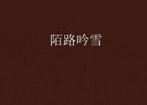 张卫平：篮下脚步扎实，攻击能力强，人称“篮下魔术师”。