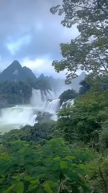 了不起的麦瑟尔夫人
