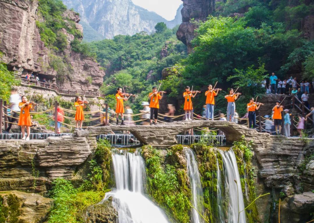 寻找火鸡