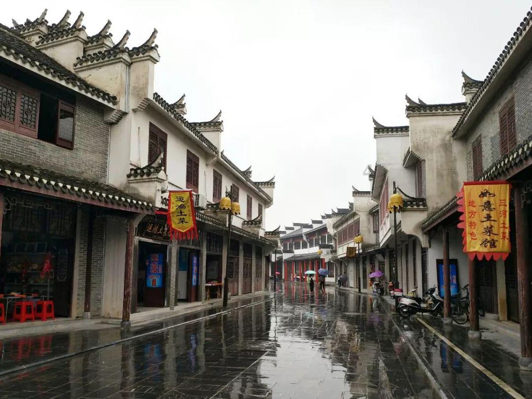 森林的奇迹